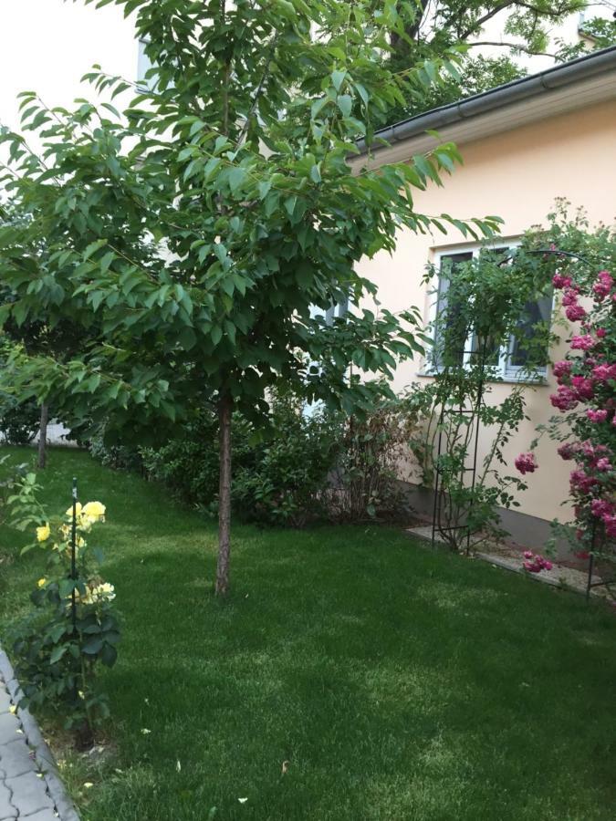 Terrasse Wohnungen Mit Parking In Zentrum Baden Buitenkant foto
