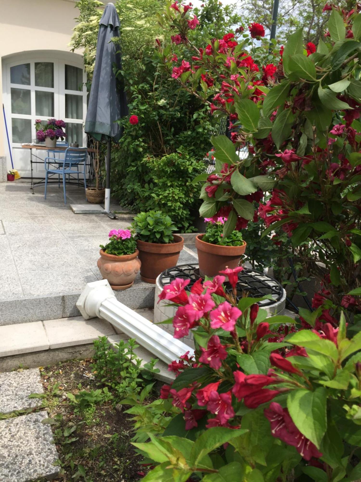 Terrasse Wohnungen Mit Parking In Zentrum Baden Buitenkant foto